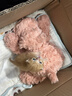 捉趣吉姆尼河馬毛絨玩具可愛公仔軟小河馬玩偶抱睡布娃娃女生生日禮物 河馬吉姆尼 全長約35cm 曬單實拍圖