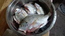 途酷新款兩節(jié)伸縮定位鋼叉支架全碳素炮臺釣魚竿帶天線后掛支架漁具釣具竿架 兩節(jié)2.2米日系綠(含新款后掛) 曬單實拍圖