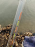 阿盧H20大物漂流氓漂納米加粗尾醒目近視浮漂鯉魚(yú)草魚(yú)漂青魚(yú)鰱鳙浮標 LPH20（17目） 2號(吃鉛約4.75克) 曬單實(shí)拍圖