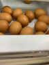 赛卡伊 30枚 礼盒装麻酱鸡蛋 蓟县麻酱鸡蛋 （顺丰发货）咸淡适中 3kg(6斤) 实拍图