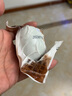 橙瑟特大90g高郵特產(chǎn)雙黃咸鴨蛋 流油真空包裝雙新鮮腌制整箱禮盒 90gx10枚（雙黃咸鴨蛋） 曬單實(shí)拍圖