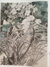 工筆新經(jīng)典——莫曉松·草木葳蕤 曬單實(shí)拍圖