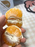 澤鮮達云南蜜橘 薄皮青皮橘子孕婦新鮮水果酸甜桔子綠皮柑橘現摘現發(fā) 2斤 精選裝 曬單實(shí)拍圖