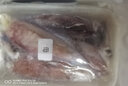 蝶島船說  東山島滿籽比管魚 新鮮帶籽 海兔子 小魷魚籽烏 海鮮 澳角村 1kg（500g*2） 曬單實拍圖