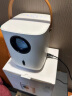 Rigal（瑞格尔）RD-853 投影仪家用音乐投影机超清家庭影院（优酷OS系统 无线投屏 AI语音控制） 实拍图