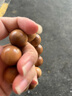 蘇小北老山檀香手串紅肉級印度邁索爾拍賣(mài)料檀香木佛珠多圈顆念珠男女款 20mm*12顆-不沉水紅肉級 曬單實(shí)拍圖