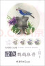設(shè)色鸚鵡牡丹(實(shí)用原大白描) 曬單實(shí)拍圖