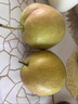 諸氏橙品 正宗玉露香梨 山西隰縣特產(chǎn)梨子 酥脆甜蜜 當季水果整箱中秋禮盒 精選8斤小果禮盒【18個(gè)裝】 曬單實(shí)拍圖