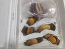相遇紅顏現貨24小時達云南特產新鮮野生菌見手青紅蔥青頭菌白蔥雞樅牛肝菌 精選黃牛肝（黃賴頭） 1000g 曬單實拍圖