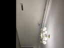 安灯堡客厅吊灯现代简约欧式卧室2024款餐厅书房两用水晶灯饰具套餐702 6头+三色变光LED灯 实拍图