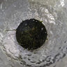 老鮮生裙帶菜還帶0脂壓縮海帶絲真空干海帶絲泡發(fā)海帶絲烘干海帶絲涼菜 壓縮海帶絲15g*5 曬單實拍圖