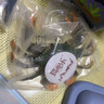 MECHILE兒童玩具男孩仿真野生動(dòng)物套裝大象老虎獅子長頸鹿小朋友生日禮物 海洋10件B（送收納盒+卡片） 曬單實(shí)拍圖