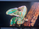 AOC 27英寸 4K QD量子点-MiniLED 160Hz HDR1000 快速液晶1ms 游戏电竞电脑显示器  逐光系列U27G3XM 实拍图