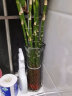 盛世泰堡玻璃花瓶透明插花瓶富贵竹植物水培容器客厅摆件六角斜纹款29cm 实拍图