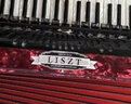 李斯特（LISZT）德國進(jìn)口手風(fēng)琴120貝斯四排簧成人演奏級新款進(jìn)口簧專業(yè)琴 120貝司黑色四排簧（國內(nèi)組裝） 曬單實(shí)拍圖