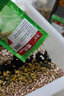 佳能（Canon）rf24 1.8全畫幅微單超廣角定焦鏡頭 適用 R6 R5 RP R10 R7 RF 24 F1.8 MACRO IS STM 官方 標配 曬單實拍圖