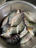 楓瀚臺(tái)釣竿魚竿釣魚竿鯽魚竿 魚桿手竿超輕碳素釣魚桿鯽桿鯉竿鯉魚桿臺(tái)釣桿漁具套裝 4.5米送3.6米+竿包+支架+大禮包 曬單實(shí)拍圖