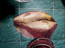 釣魚(yú)餌料野釣魚(yú)餌老壇酒糟發(fā)酵玉米小麥五谷雜糧野釣水庫鯉魚(yú)草魚(yú)青魚(yú)餌料窩料 5.8斤混合桶裝(濃酵香味) 曬單實(shí)拍圖
