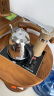 志高（CHIGO）烧水壶自动上水电热水壶智能全自动上水壶电茶壶煮茶器电茶炉茶具茶台烧水壶一体电水壶JBL-D6161 实拍图