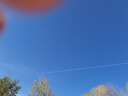 甘美農(nóng)甘肅天水香蕉梨太婆梨巴梨新鮮水果現(xiàn)摘大頭梨茄梨軟梨整箱啤梨 天水香蕉梨【8.8斤中果23-26個】 單果規(guī)格170-260g 曬單實拍圖