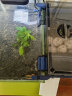 迪普尔鱼缸水草泥和水草种子2.5kg水藻泥底沙鱼底砂装饰造景套餐水族箱 晒单实拍图