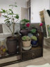 一洲 手持式喷壶 花卉植物园艺喷水壶 办公浇花水壶 500ML 灰色 实拍图