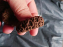oein加粗高彈力耐用發(fā)圈橡皮筋頭繩網(wǎng)紅高馬尾頭繩耐用扎頭皮筋女發(fā)飾 【混咖六件裝】53*94mm罐裝 曬單實(shí)拍圖