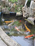 格池（GRECH） 變頻水泵魚池循環(huán)水泵潛水泵家用水陸兩用假山水泵抽水泵節(jié)能 140W變頻防堵泵/16000流量/7.5米揚(yáng)程 曬單實(shí)拍圖
