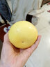 黃金葡萄柚 當季孕婦新鮮水果西柚黃肉甜蜜柚子整箱 5斤（普通裝） 曬單實(shí)拍圖