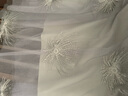 陸際（LUJI）裙子 網(wǎng)紗刺繡半身裙2021夏季新款仙女裙香港潮牌百搭彈力腰圍紗網(wǎng)裙韓版顯瘦時(shí)尚長裙 灰色 均碼 曬單實(shí)拍圖