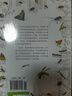 都市昆蟲記（自然觀察叢書） 曬單實(shí)拍圖