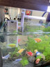 金格羽家用魚(yú)缸內(nèi)置過(guò)濾器一體機(jī)循環(huán)水泵小型凈水靜音增氧氣泵吸糞1 7W過(guò)濾器潛水泵【五合一】 曬單實(shí)拍圖