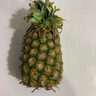 悅己海南鳳梨9斤新鮮香甜小菠蘿應(yīng)季熱帶水果 孕婦水果現(xiàn)摘現(xiàn)發(fā) 3斤中果（單果750g+）2-3個(gè)裝 曬單實(shí)拍圖