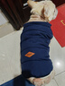 DADAGOU法國(guó)斗牛犬專用棉衣服春秋冬法斗英斗八哥沙皮兩腳馬甲加厚保暖 【藍(lán)色】經(jīng)典斗牛棉馬甲 XL 參考18-25斤 胸圍60 頸圍44 曬單實(shí)拍圖