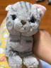 sunlemonoriginal日本仿真小貓咪玩偶貓寶寶毛絨玩具娃娃公仔兒童生日禮物送男女生 P-7521 曬單實(shí)拍圖
