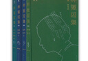 【多規(guī)格】林徽因集增訂本全4冊(cè) 精裝插圖官方正版 詩(shī)歌散文小說(shuō)戲劇翻譯書(shū)信建筑美術(shù) 部分珍貴影像檔案手稿 林徽因作品全集 林徽因傳 林徽因集增訂本全套4冊(cè) 曬單實(shí)拍圖