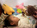 熊出沒(méi)毛絨玩具送孩子兒童生日禮物女生男生送女友陪睡玩偶熊熊公仔 熊大熊二23cm+光頭強(qiáng)28cm 曬單實(shí)拍圖