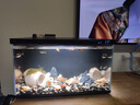 貝意品魚(yú)缸除藻劑去苔劑凈青苔清除劑褐藻去除神器綠水綠藻絲藻克星專(zhuān)用 曬單實(shí)拍圖