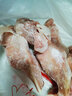 博多客兔子腿 新鮮兔腿 生兔腿 后腿 生鮮兔子 手撕兔 冷吃兔大菜園 兔腿 2kg 1袋 曬單實拍圖
