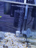 碧水風(fēng)和水族箱魚(yú)缸草缸蝦缸氣泵空氣細化器增氧冒泡氣石迷你低壓氣泡石 迷你細化器（直徑12mm不含氣泵氣管） 曬單實(shí)拍圖