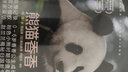 【當(dāng)當(dāng) 正版包郵】熊貓花花 萌蘭 香香 福寶 渝可渝愛書 蔣林 譚爺爺與果賴 三太子么么兒 熊貓科普?qǐng)D鑒成長(zhǎng)記錄熊貓的書 熊貓相關(guān)的書 熊貓花花+熊貓香香+熊貓萌蘭 曬單實(shí)拍圖