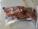 探險者（TAN XIAN ZHE）戶(hù)外用品 帳篷地釘防風(fēng)繩 沙灘釘野營(yíng)配件 6根裝 曬單實(shí)拍圖