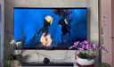 Bose/博士 SoundBar950音響家庭影院組合套裝回音壁桌面音箱無線藍(lán)牙 950回音壁（黑色） 曬單實(shí)拍圖