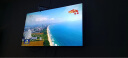 康佳（KONKA）43英寸 1+8GB内存 全面屏 教育资源 网络WIFI 平板全高清液晶卧室教育电视机 43英寸 实拍图