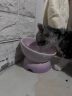 乐优派猫碗陶瓷狗碗猫食盆狗盆宠物碗猫粮碗高脚防打翻猫咪用品 渐变紫 实拍图