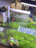 金格羽家用魚(yú)缸內(nèi)置過(guò)濾器一體機(jī)循環(huán)水泵小型凈水靜音增氧氣泵吸糞1 7W過(guò)濾器潛水泵【五合一】 曬單實(shí)拍圖