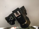 尼康 D5600单反相机入门级 单机身\套机 学生相机 D5600 DX 35mm/1.8G定焦镜头套装 下单礼包 实拍图