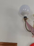 弗仕森led龍珠燈泡e27螺口家用節(jié)能燈自然光白光暖光三色變光變色鏡前燈 高亮款G120【30w 暖白】 曬單實拍圖