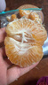 栩季（XUJI）四川春見耙耙柑 新鮮水果粑粑葩葩柑當(dāng)季丑橘丑八怪桔子甜柑整箱 8斤【甄選特級果】 曬單實拍圖