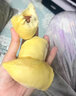 泰國金枕榴蓮  進(jìn)口整個(gè)新鮮A級金枕頭巴掌榴蓮干包送禮時(shí)令水果 4-5斤（精品A級金枕頭榴蓮） 曬單實(shí)拍圖